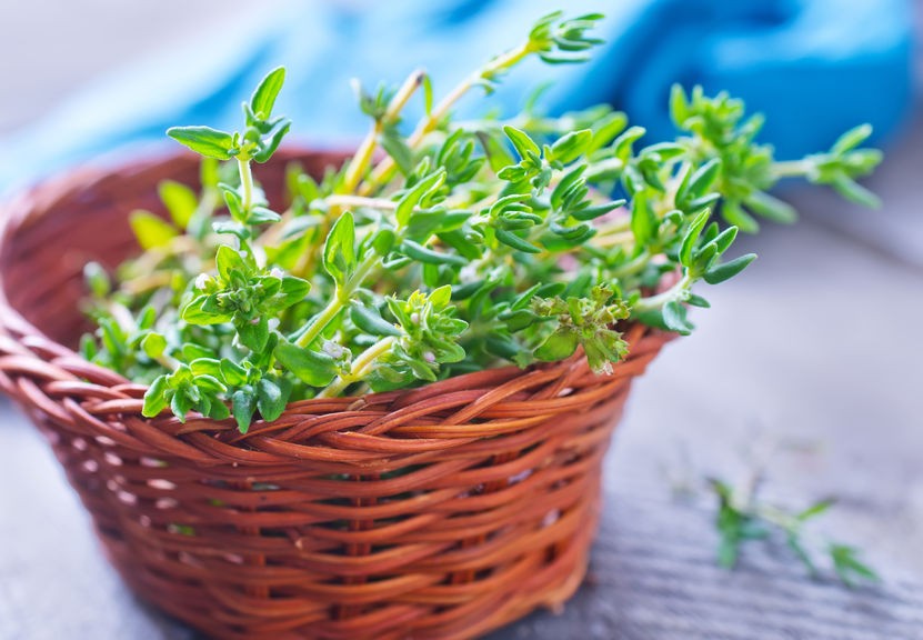 health benefits of thyme