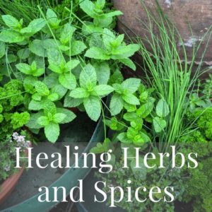 Mediterranean Diet Recipes Healing Herbs and Spices