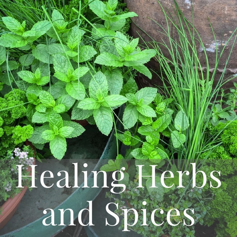 Modern and Traditional Mediterranean Diet Recipes