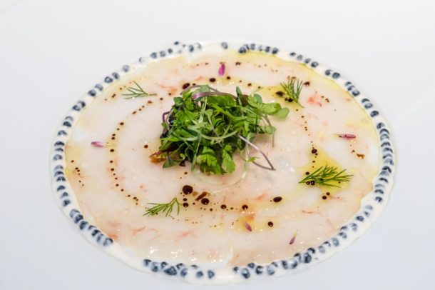 grouper ceviche