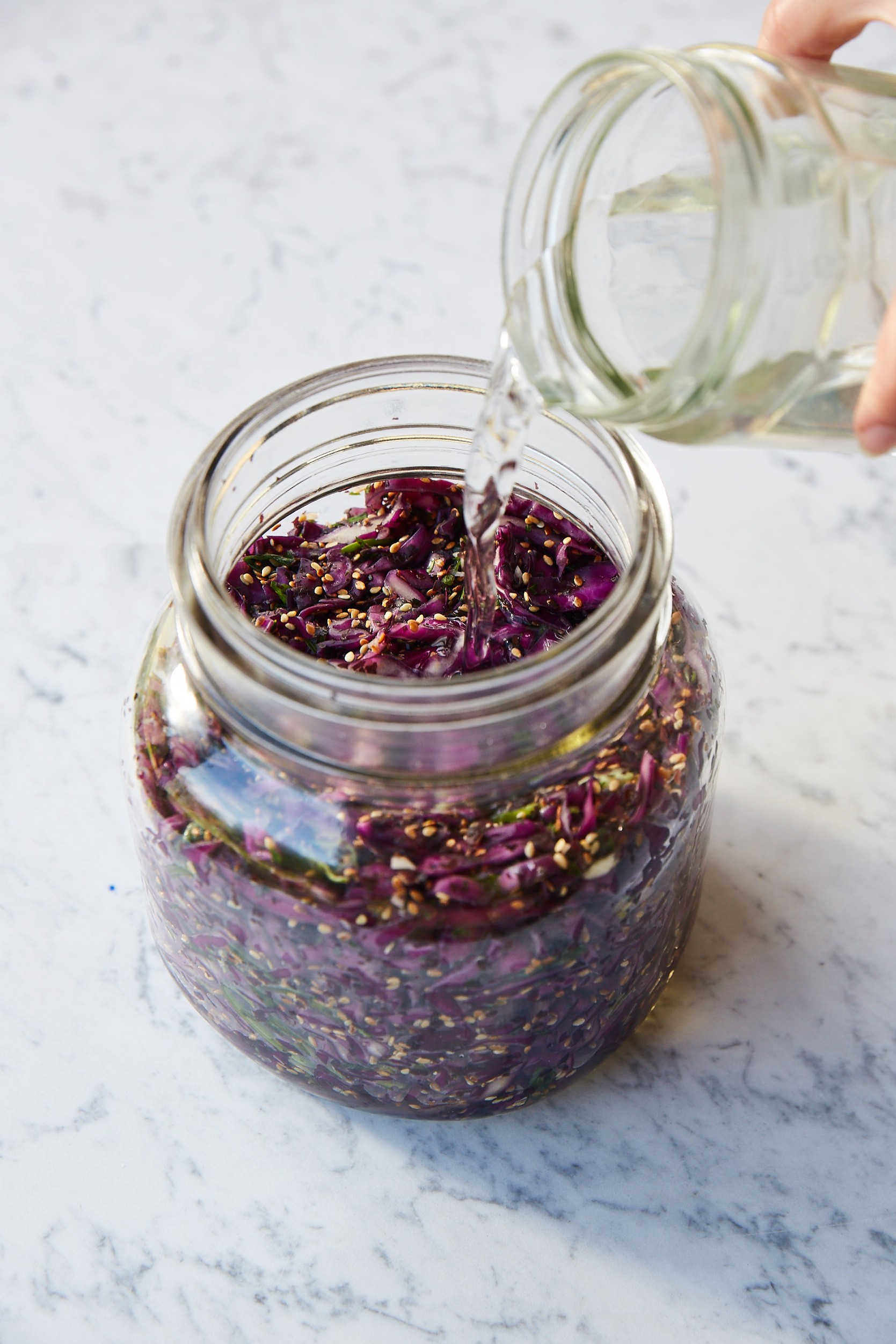 Deep-Sea Purple Kraut Deep-Sea Purple Kraut