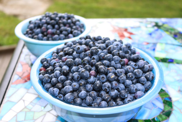 Maple Blueberry Compote