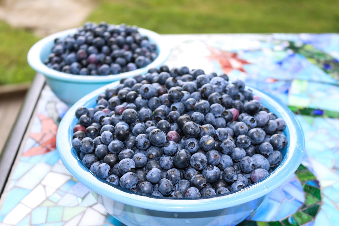 Maple Blueberry Compote Maple Blueberry Compote