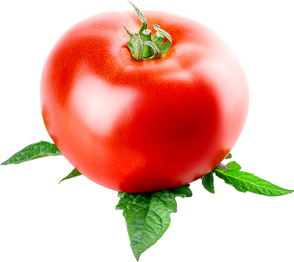 vegetable-based-diet Vegetable Plant Based Diet