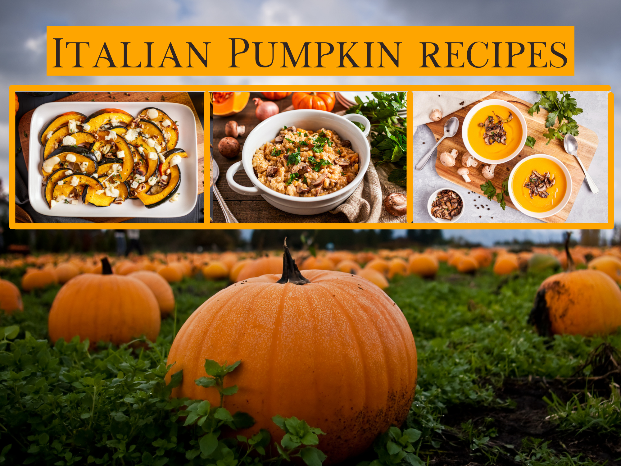 Pick of the Patch Pumpkin Recipes