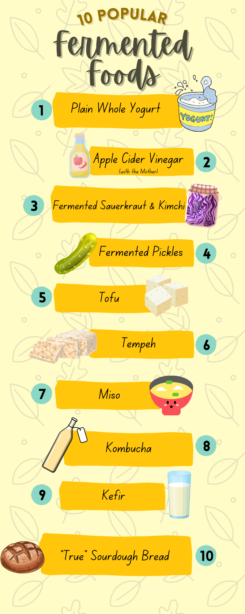 Popular Fermented Foods Infographic Popular Fermented Foods Infographic