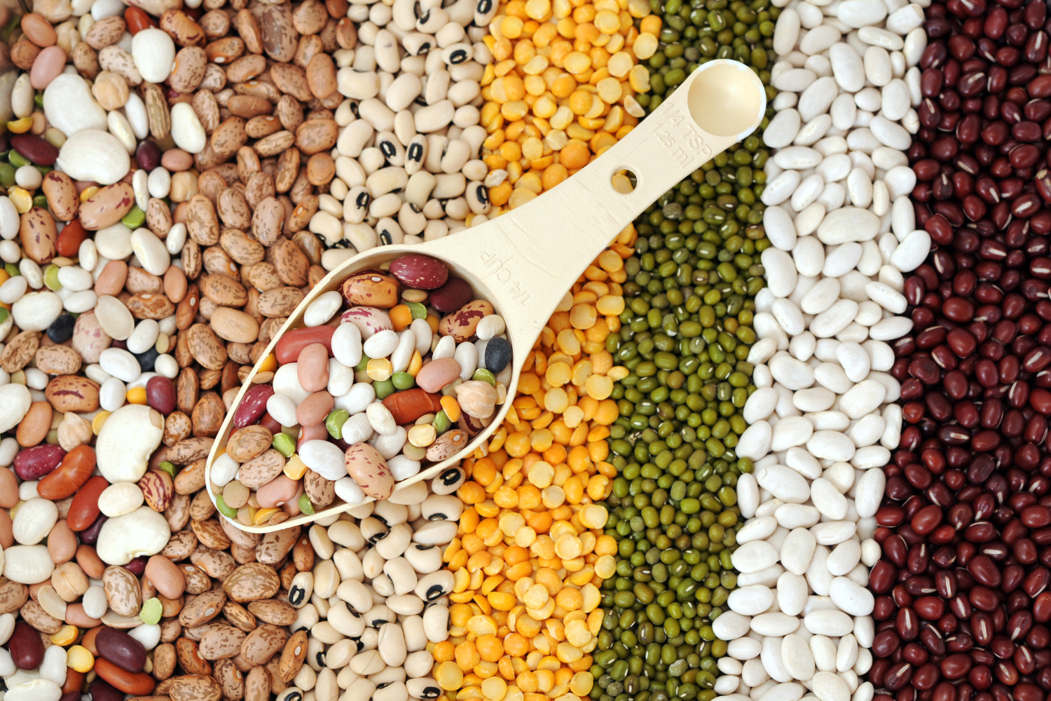 cheap healthy meals beans
