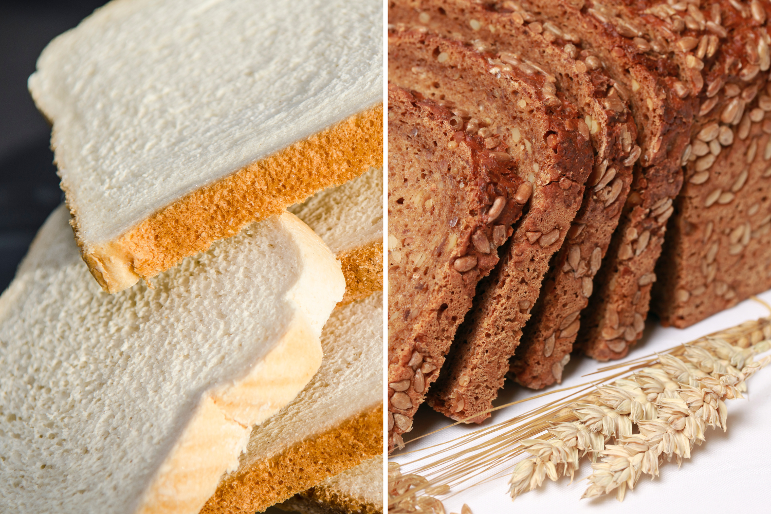 White bread vs whole grain bread