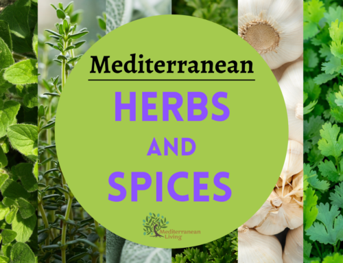 Mediterranean Herbs and Spices: A Beginner’s Guide